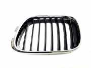 Kühlergrill komplett BMW X5 (E53) 8247673