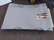 Dachverkleidung FORD FOCUS IV (HN) 1.0 EcoBoost