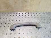 Andere Verkleidungsteile NISSAN PATHFINDER III (R51) 2.5 dCi 4WD