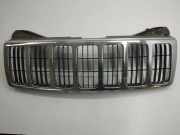 Vorderer oberer Gitter JEEP GRAND CHEROKEE III (WH, WK) 3.0 CRD 4x4 5JF94TRMAE