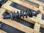 Stoßdämpfer rechts hinten Honda FR-V (BE)