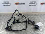 Kabelbaum Ford EcoSport () CN1514633