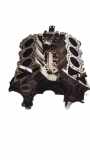 Motorblock MERCEDES-BENZ SPRINTER 3-t (906) 219 CDI / BlueTEC (906.111, 906.113, 906.211, 906.213) 6429924068946