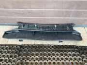 Kühlerluftumlenker CITROËN C4 Picasso I (UD_) 1.6 HDi 110 900343000