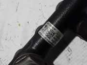 Einspritzleiste Citroen Jumper III Kasten () 9674300080