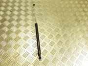 Gasfeder für Motorhaube Renault Laguna II (G)