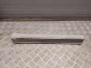 Schwellerinnenverkleidung vorn rechts MERCEDES-BENZ S (W222, V222, X222) S 500 (222.082, 222.182) A2226808235