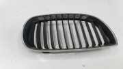 Vorderer oberer Gitter BMW 1 (E87) 118 d 511371286149 70771309