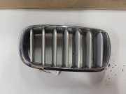 Kühlergrill komplett BMW X5 (F15, F85) 7316076