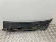 Grill Windlauf Fiat Ducato Kasten (244) 1306178070