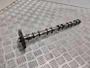 Auspuffkrümmer Volvo S60 I (384) 14508