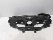 Ziergitter Renault Megane IV Schrägheck (B9A) 620360534R