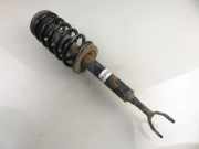 Stoßdämpfer vorne links VW PASSAT Variant B5 (3B6) 2.5 TDI 4motion AGA048MT