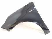 Kotflügel links vorne Renault Grand Scenic III (JZ)