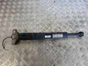 Stoßdämpfer hinten links MASERATI GHIBLI (M157) 3.0 06701054030