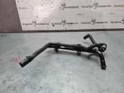 Schlauch Kühlung AUDI A1 (8X1, 8XK) 1.6 TDI 6C0121070B