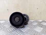 Riemenspanner VW GOLF PLUS (5M1, 521) 1.6 TDI 038903315AH