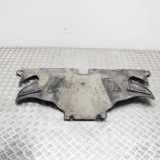 Motorschutz TESLA MODEL 3 EV AWD N/A