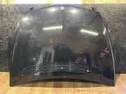 Motorhaube MERCEDES-BENZ R (W251, V251) R 320 CDI 4-matic (251.022, 251.122) 2518800805