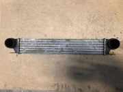 Ladeluftkühler BMW 5 (E39) 530 d 17512247359