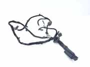 Türverkabelung hinten links BMW 3 (G20, G28) 3 (G20) 330 i 8718246