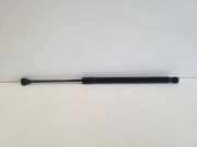 Heckklappe Gasdruckfeder links AUDI A5 (F53) S5 quattro 8T8827552B