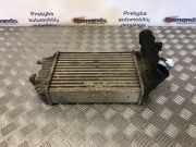 Ladeluftkühler Fiat Ducato Kasten (250) 1307012080