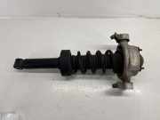 Stoßdämpfer hinten links PORSCHE CAYENNE (92A) 4.8 S 95833305100