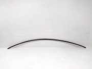 Dachleiste links TESLA MODEL 3 EV 108351940D
