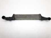 Ladeluftkühler Mercedes-Benz E-Klasse (W210) 2105001300