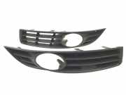 Kühlergrill unten VW Passat B6 (3C2)