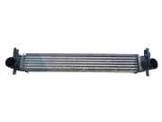 Ladeluftkühler VW POLO (6R, 6C) 1.4 GTI W9450002