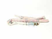 Airbag Dach links Jaguar XE (X760) 308968099AD