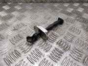 Türanschlag hinten links