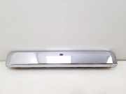 Kennzeichenrahmen NISSAN PATHFINDER III (R51) 2.5 dCi 4WD 90810EB56B