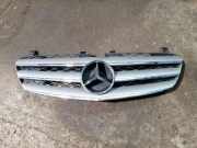 Vorderer oberer Gitter MERCEDES-BENZ R (W251, V251) R 280 CDI 4-matic (251.020) A2518880623