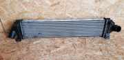 Ladeluftkühler FORD MONDEO IV (BA7) 2.0 TDCi 6G919L440AF