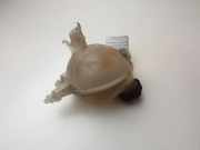 Ausgleichsbehälter PEUGEOT 208 1.2 9800777280