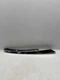 Front Bumper Center Moulding HONDA CIVIC X Hatchback (FC_, FK) 1.5 VTEC (FK7) 71124TEDT03
