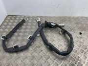 SRS Modul Dach links BMW X3 (E83) xDrive 18 d 30358168C 1010118880182