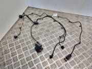 Kabel Tür Opel Adam () 13454258