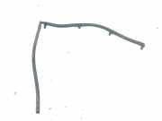 KRAFTSTOFFVERTEILER EINSPRITZLEISTE VERTEILERROHR PEUGEOT 406 (8B) 2.2 HDi
