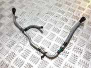 Einspritzleiste Land Rover Discovery V (L462)