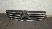 Vorderer oberer Gitter MERCEDES-BENZ CLK (C209) 320 (209.365) A2098800023