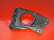 Blende Nebelscheinwerfer Toyota RAV 4 IV (A4) 5204042050