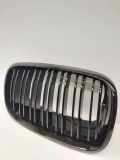 Vorderer oberer Gitter BMW X5 (G05) xDrive 30 d 51137171396