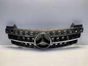 Gitter Grill vorne links MERCEDES-BENZ M (W164) ML 320 CDI 4-matic (164.122)