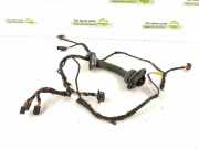 Kabelbaum MERCEDES-BENZ GL (X164) GL 450 4-matic (164.871) 2514402009