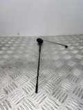 Antenne FORD C-MAX (DM2) 2.0 TDCi