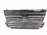 Kühlerluftumlenker BMW X5 (E70) M 7195271